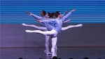 中央芭蕾舞团走进宁夏司法警官职业学院 - 司法厅