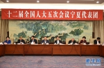 十二届全国人大五次会议宁夏代表团审议政府工作报告 - 人民政府