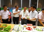 全国知名蔬菜经销商走进宁夏 - 农业厅