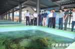 农业部与宁夏自治区政府联合举办黄河宁夏银川段水生生物增殖放流活动 - 农业厅