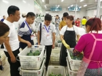 2017年全国知名蔬菜商走进宁夏活动成功举办 - 农业厅