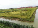 宁夏水稻生产全程机械化技术模式和解决方案研讨会在灵武市召开 - 农业厅