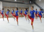 宁夏体育职业学院挂牌成立 - 省体育局