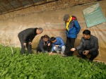 推进农业“走出去”中国（宁夏）-以色列
现代农业技术合作培训班成功举办 - 农业厅