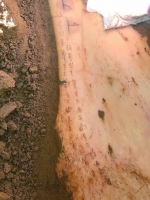 宁夏彭阳姚河塬商周遗址出土甲骨文 是目前中国发现甲骨文最西北部的一处遗址 - 文化厅
