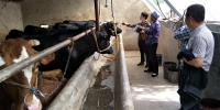 自治区肉牛产业专家团队联合开展技术帮扶 - 农业厅