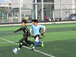 2019年石嘴山市青少年校园足球联赛开赛 - 省体育局
