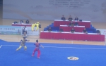 宁夏运动员在全国武术套路锦标赛收获佳绩 - 省体育局