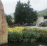 从“卖石头”到“卖风景” 安吉余村用这些照片来讲述背后的故事 - 银川新闻网