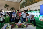 全国知名蔬菜销售商走进宁夏进行深化合作 - 商务之窗